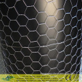 Galvanized Hexagonal Wire Mesh (chicken mesh)